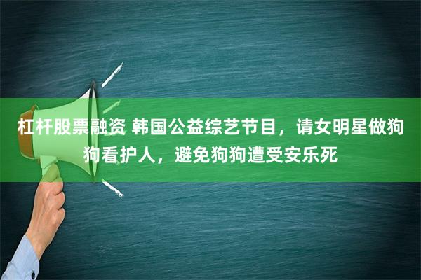 杠杆股票融资 韩国公益综艺节目，请女明星做狗狗看护人，避免狗狗遭受安乐死