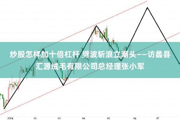 炒股怎样加十倍杠杆 劈波斩浪立潮头——访蠡县汇源绒毛有限公司总经理张小军