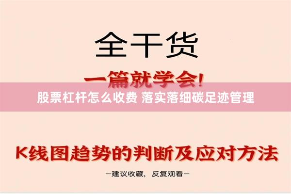 股票杠杆怎么收费 落实落细碳足迹管理