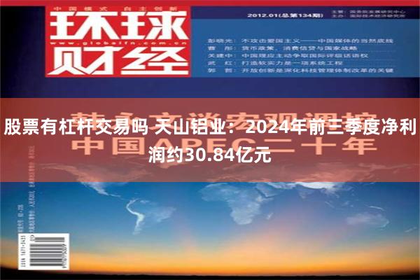 股票有杠杆交易吗 天山铝业：2024年前三季度净利润约30.84亿元