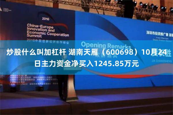 炒股什么叫加杠杆 湖南天雁（600698）10月24日主力资金净买入1245.85万元