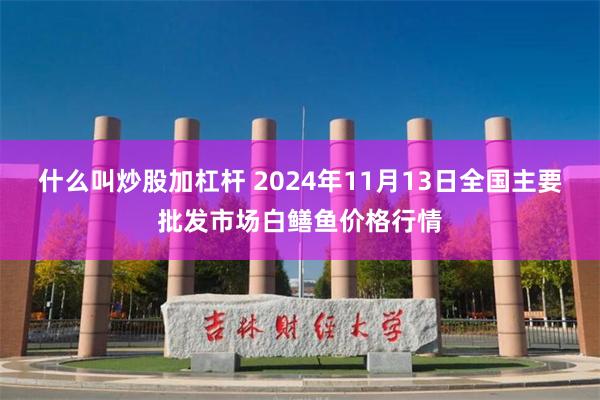 什么叫炒股加杠杆 2024年11月13日全国主要批发市场白鳝鱼价格行情