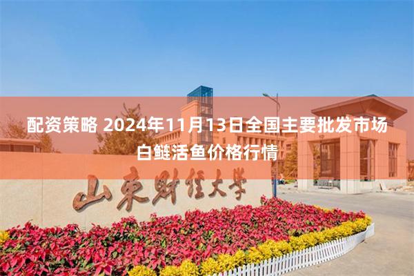 配资策略 2024年11月13日全国主要批发市场白鲢活鱼价格行情